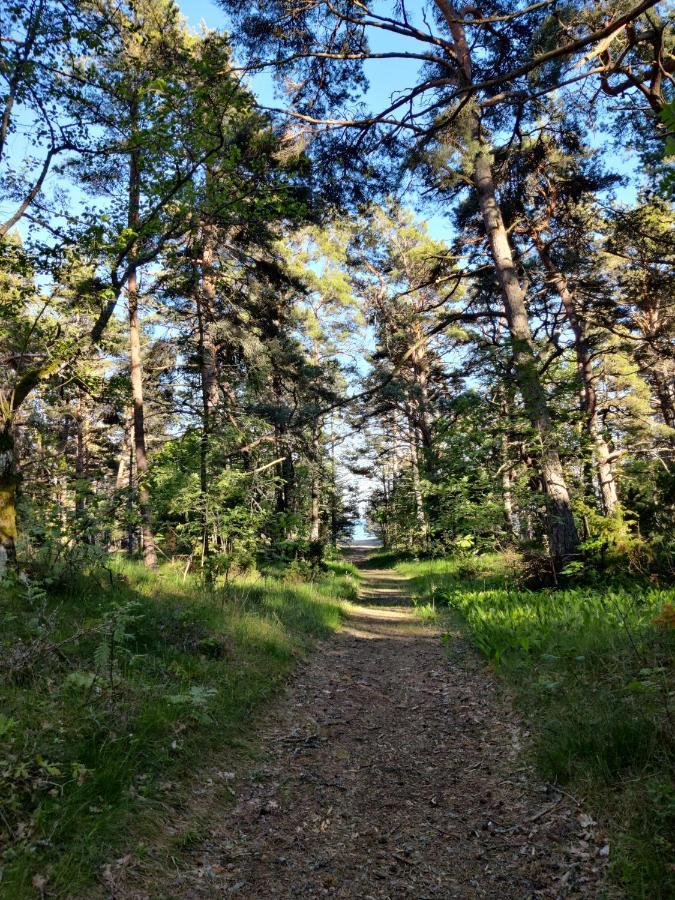 Campsite Mere
